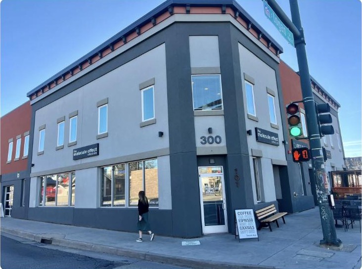 300 S Logan — the restored 1880 corner building at Logan & Alameda, Denver